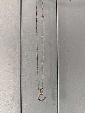 Stella & Dot Dainty Two-Tone Panther Horseshoe  Pendant Necklace - Gold & Silver
